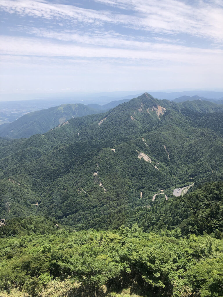 レストラン風景